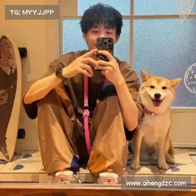 怀献义